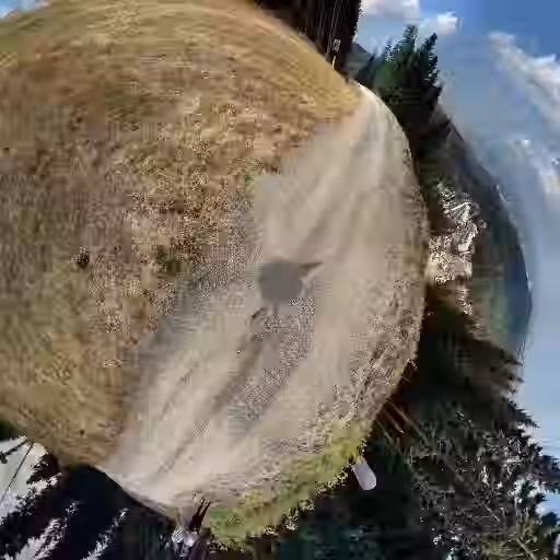 PANO_20260826_120330